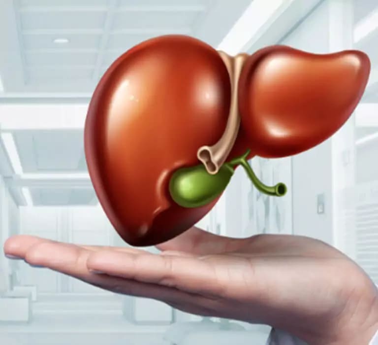 banner-mobile-banner-nutriliver